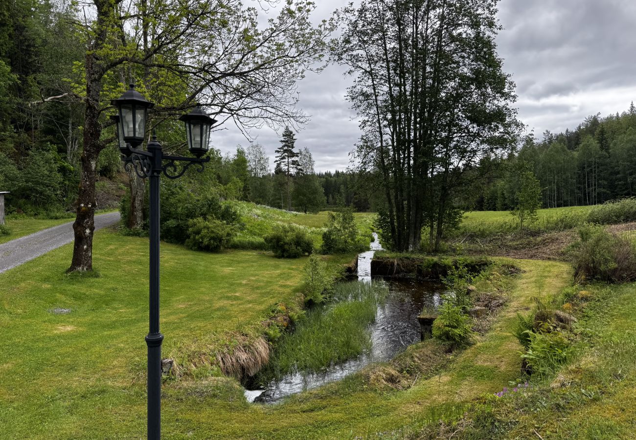 Ferienhaus in Skillingsfors - SE18031