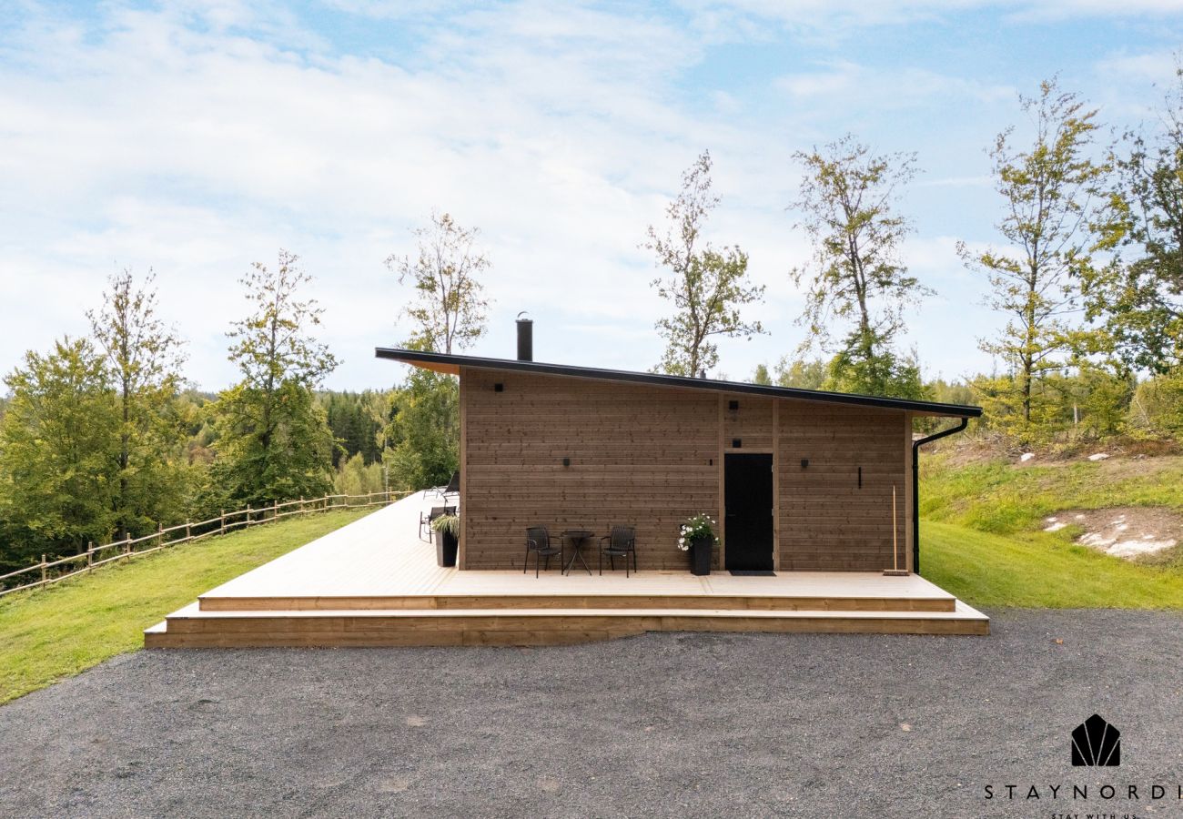 Ferienhaus in Lönashult - SE06090