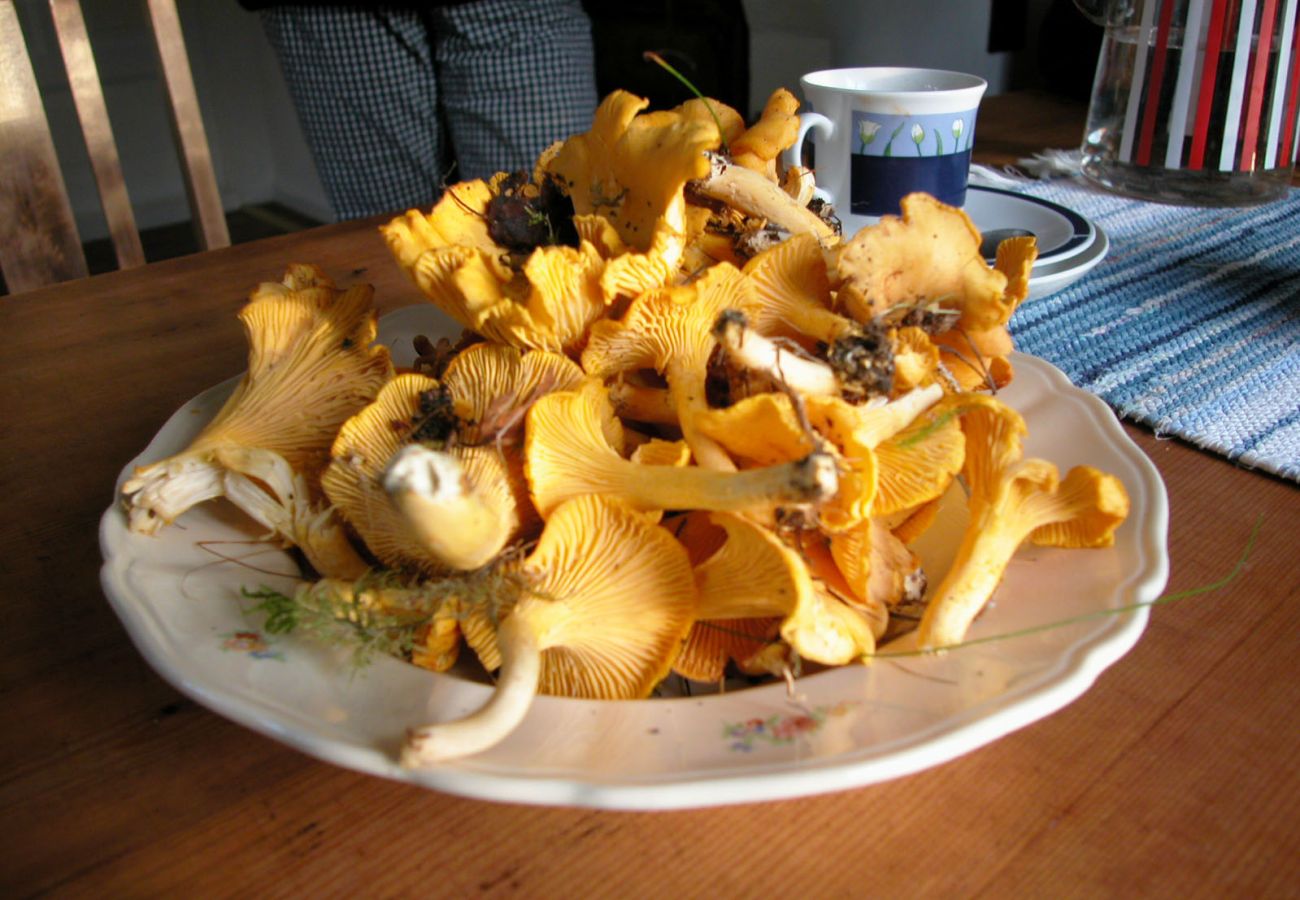 Ferienhaus in Hjo - SE08084