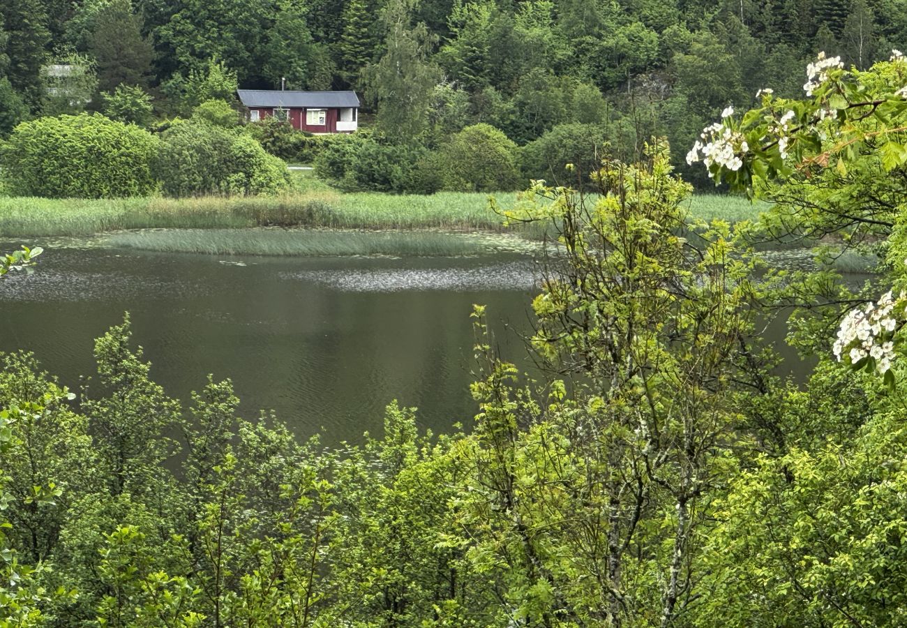 Ferienhaus in Hällevadsholm - SE09081