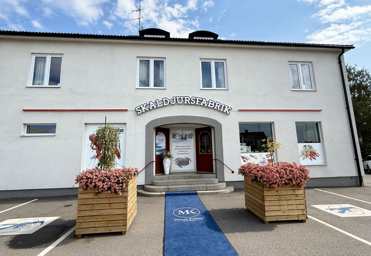 Ferienhaus in Väderstad - SE10024