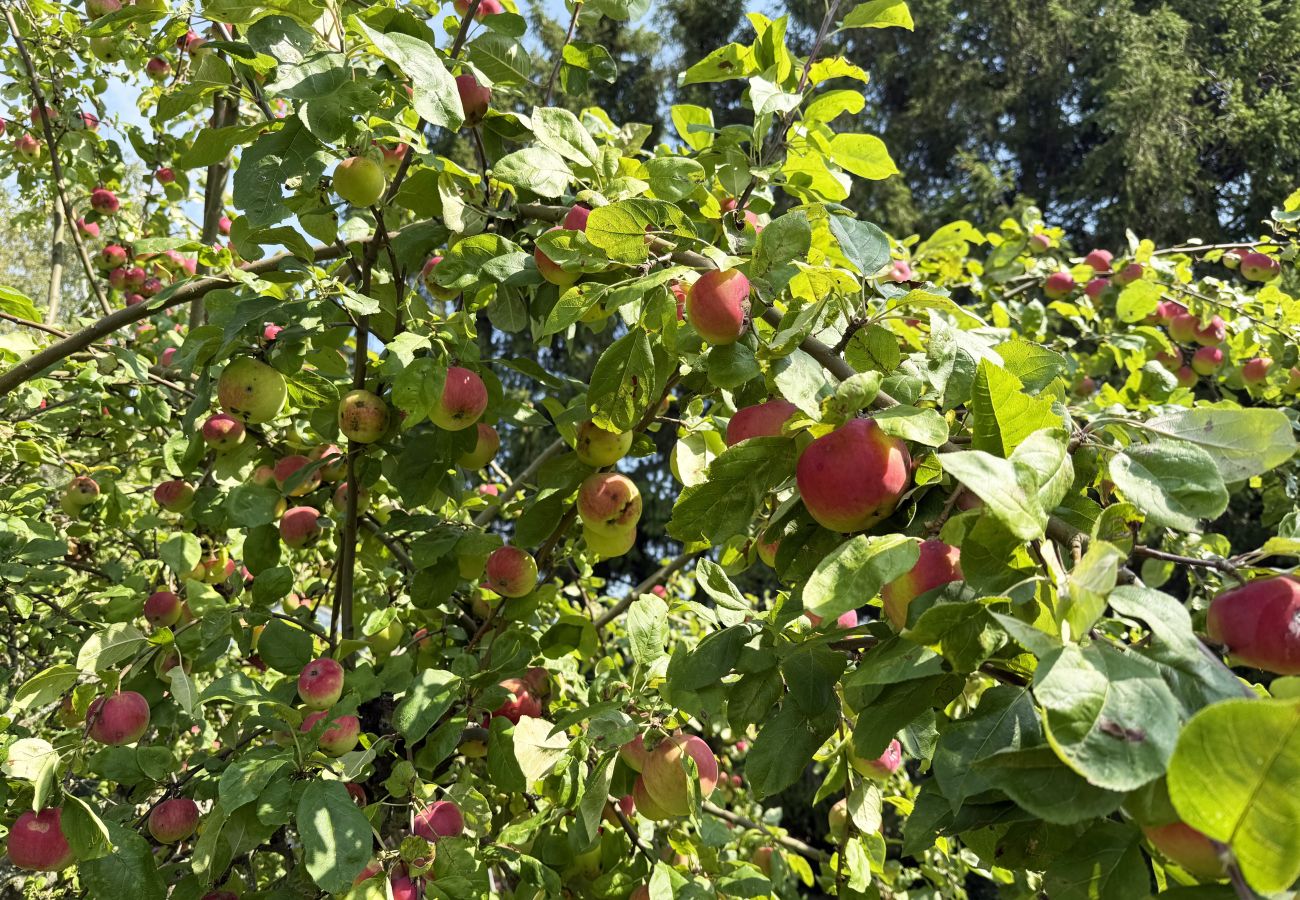 Ferienhaus in Väderstad - SE10024