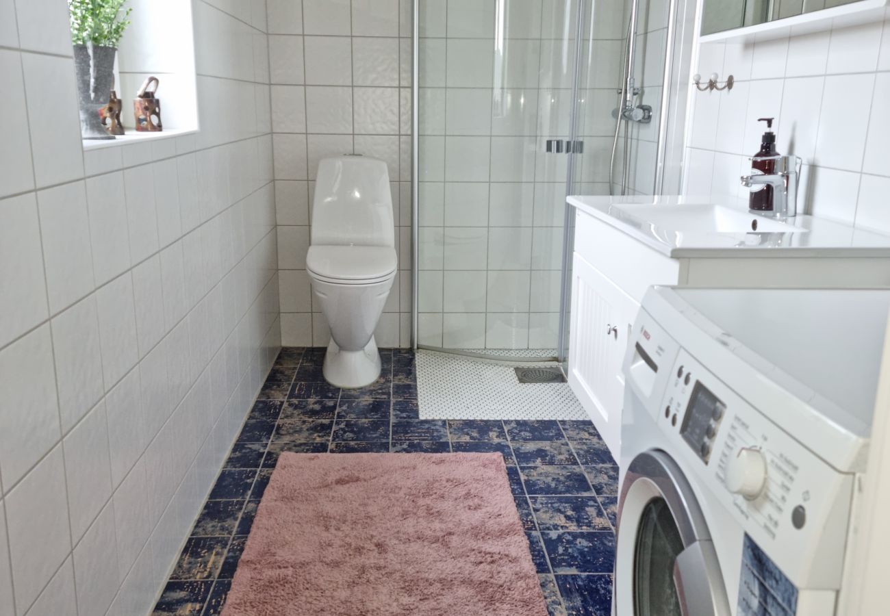 Ferienhaus in Svanesund - SE09151