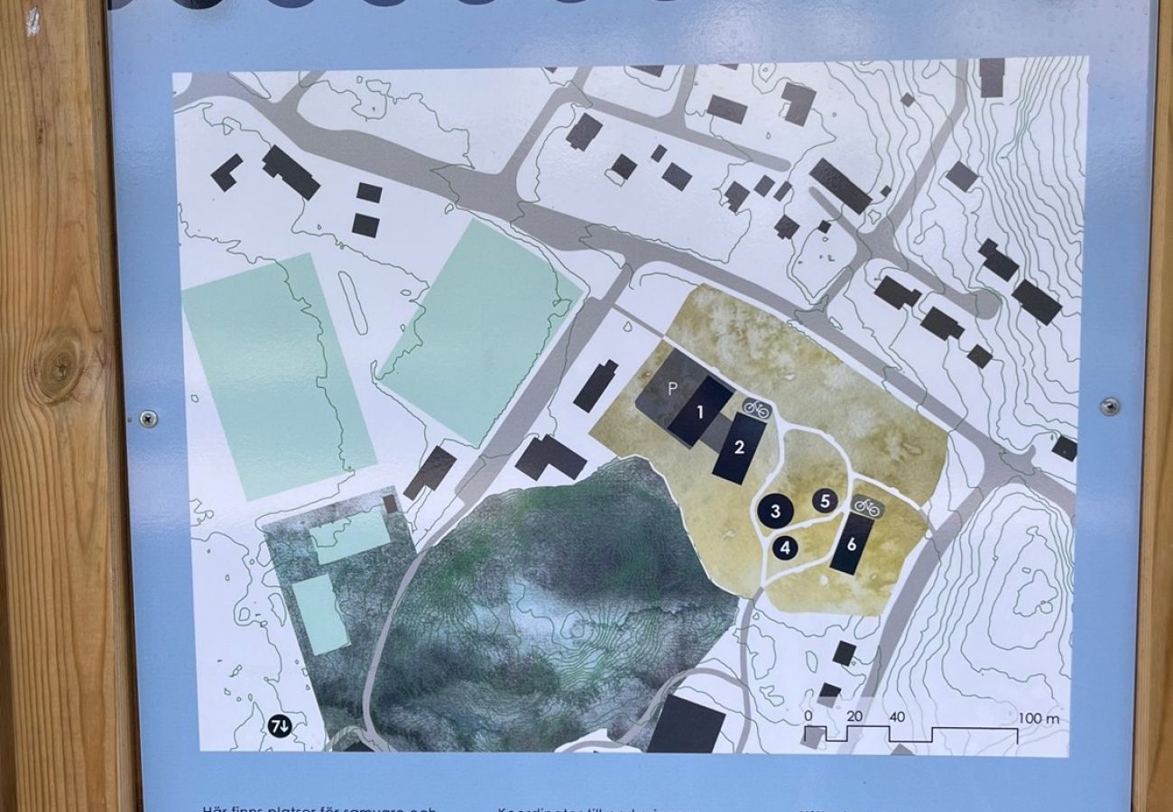 Ferienhaus in Svanesund - SE09167