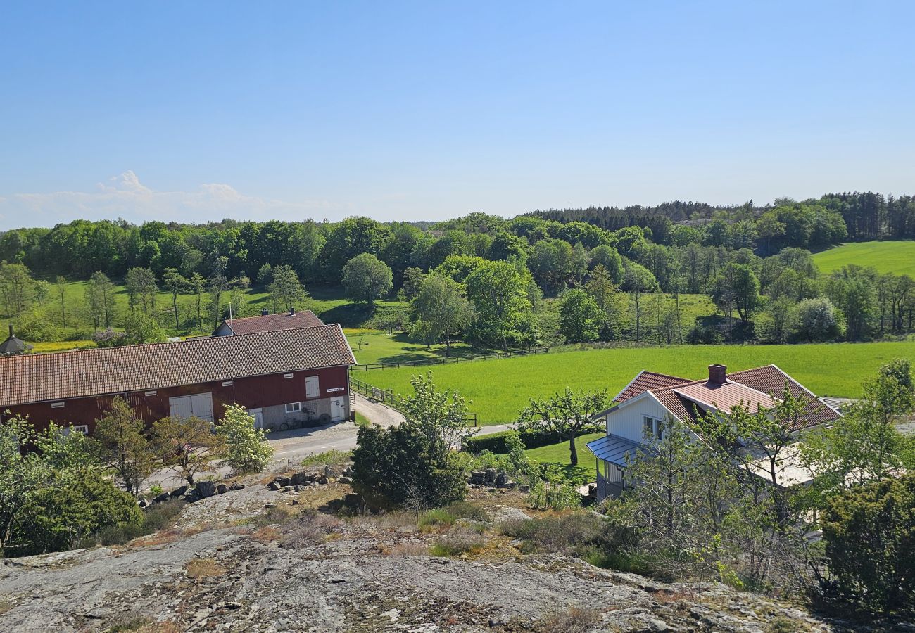 Ferienhaus in Uddevalla - SE09160