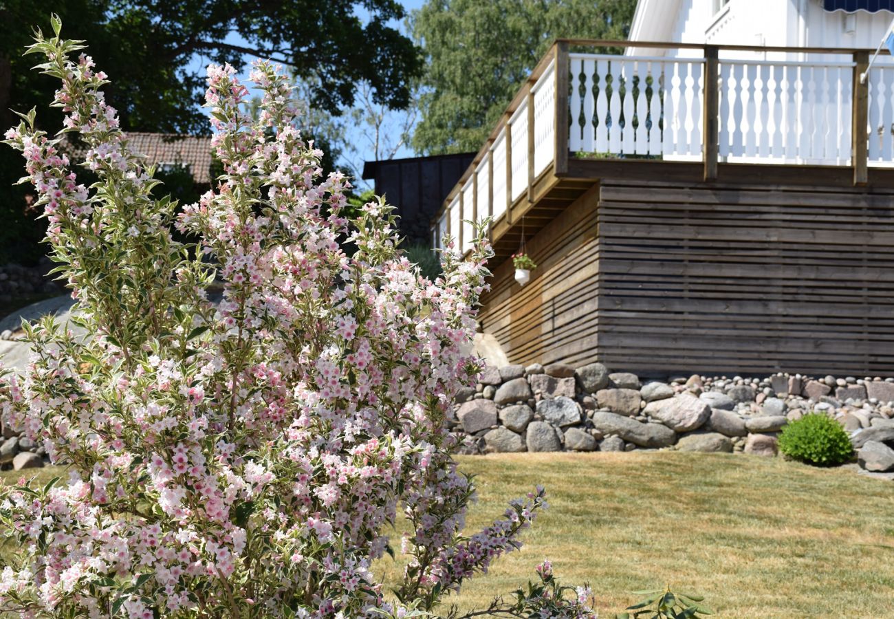 Ferienhaus in Myggenäs - SE09161