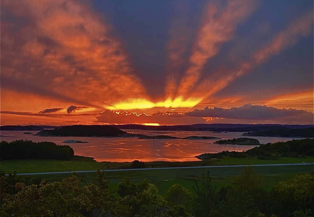 Ferienhaus in Varekil - SE09168