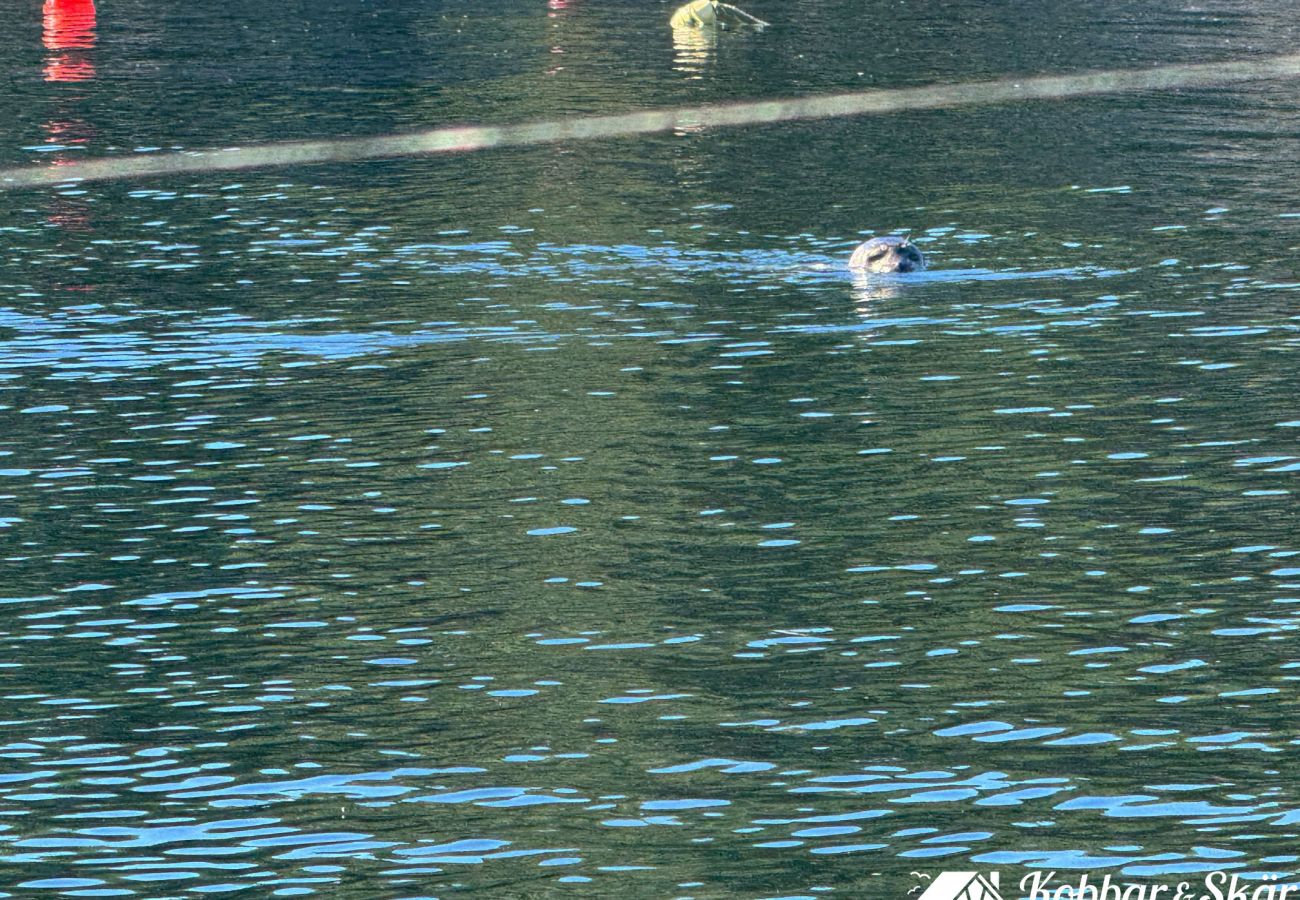 Ferienhaus in Myggenäs - SE09170