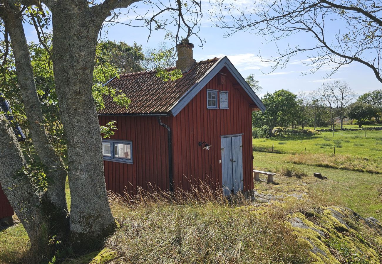 Ferienhaus in Hälleviksstrand - SE09172