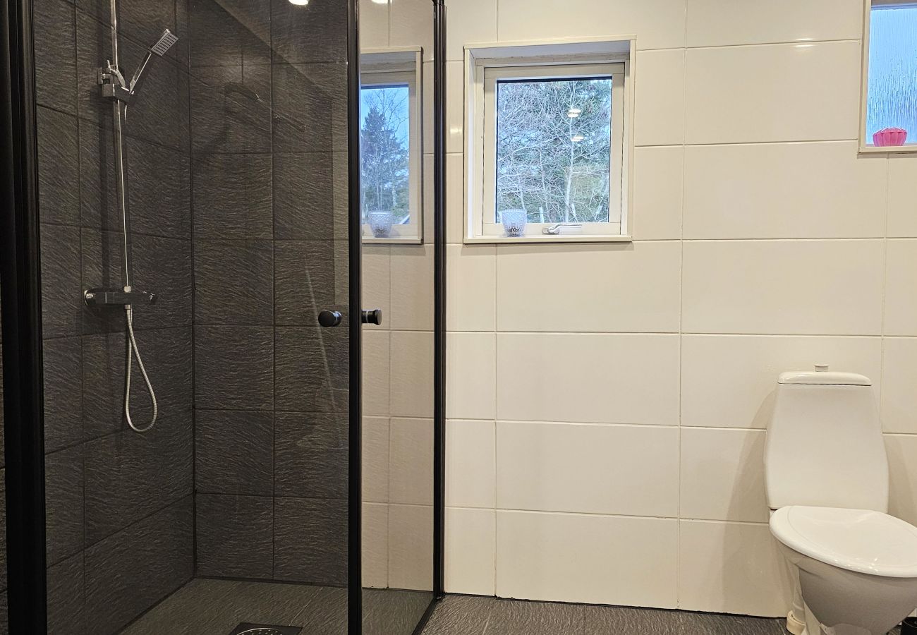 Ferienhaus in Svanesund - SE09173