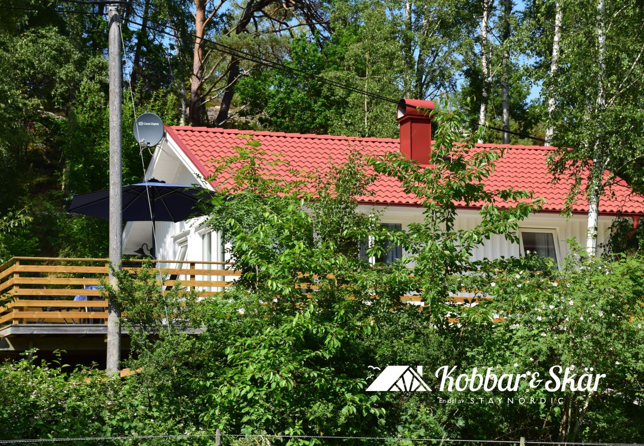 Landhaus in Fagerfjäll - SE09179