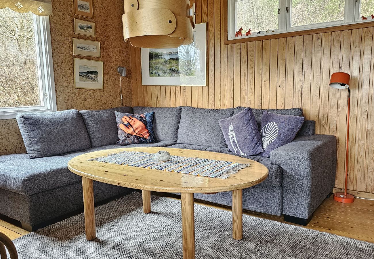 Landhaus in Svanesund - SE09183