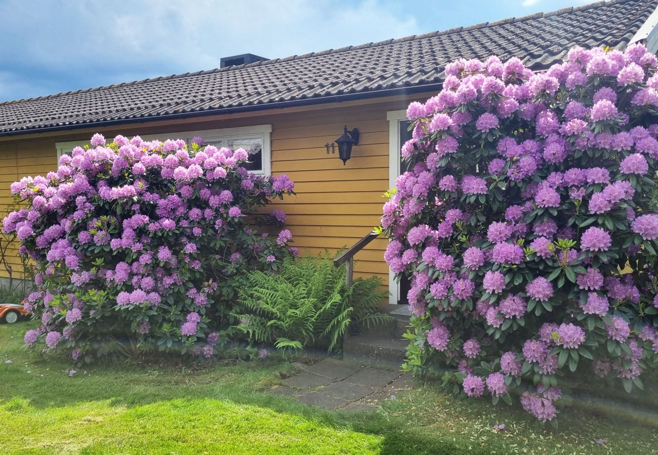 Ferienhaus in Åsa - SE02120