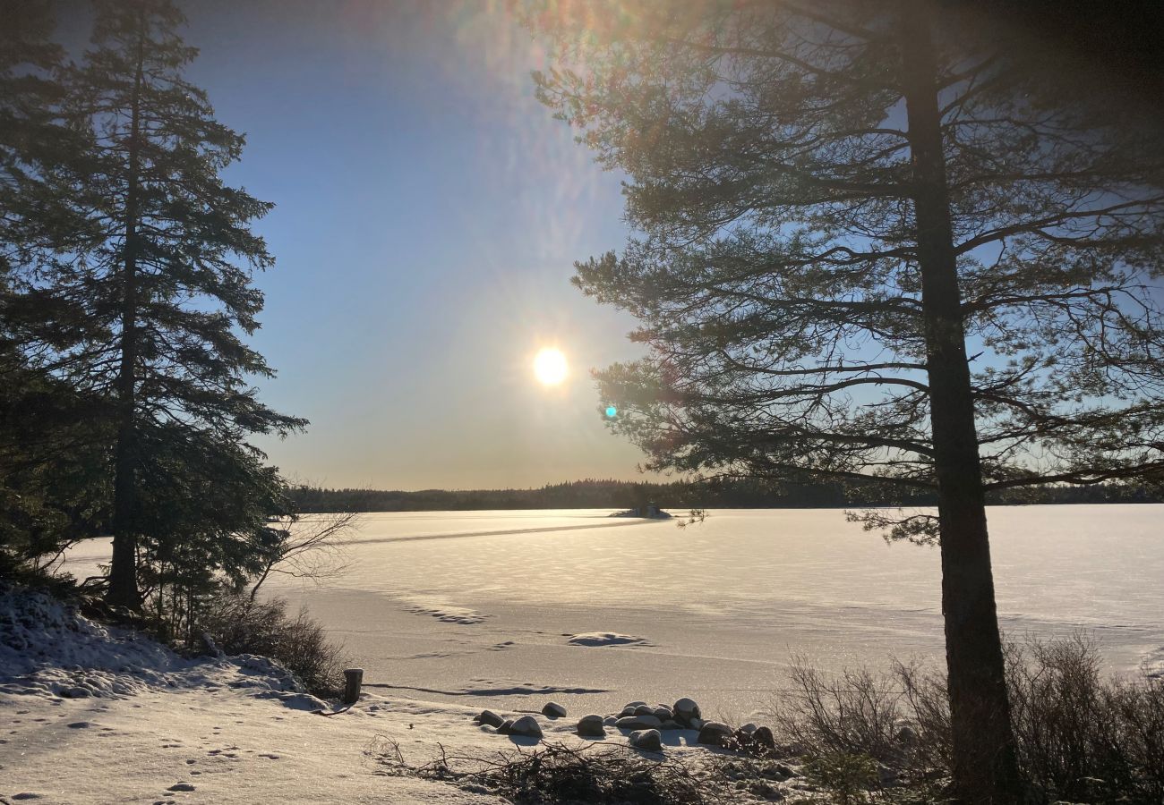 House in Månsarp - SE07002