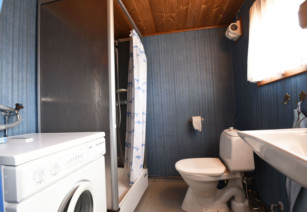 House in Sunnemo - SE18010