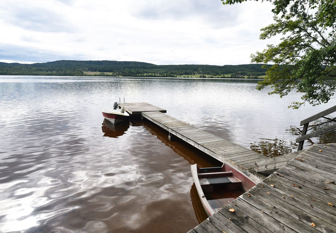 House in Sunnemo - SE18010