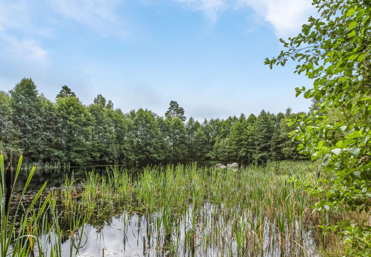 House in Ljungby - SE06050