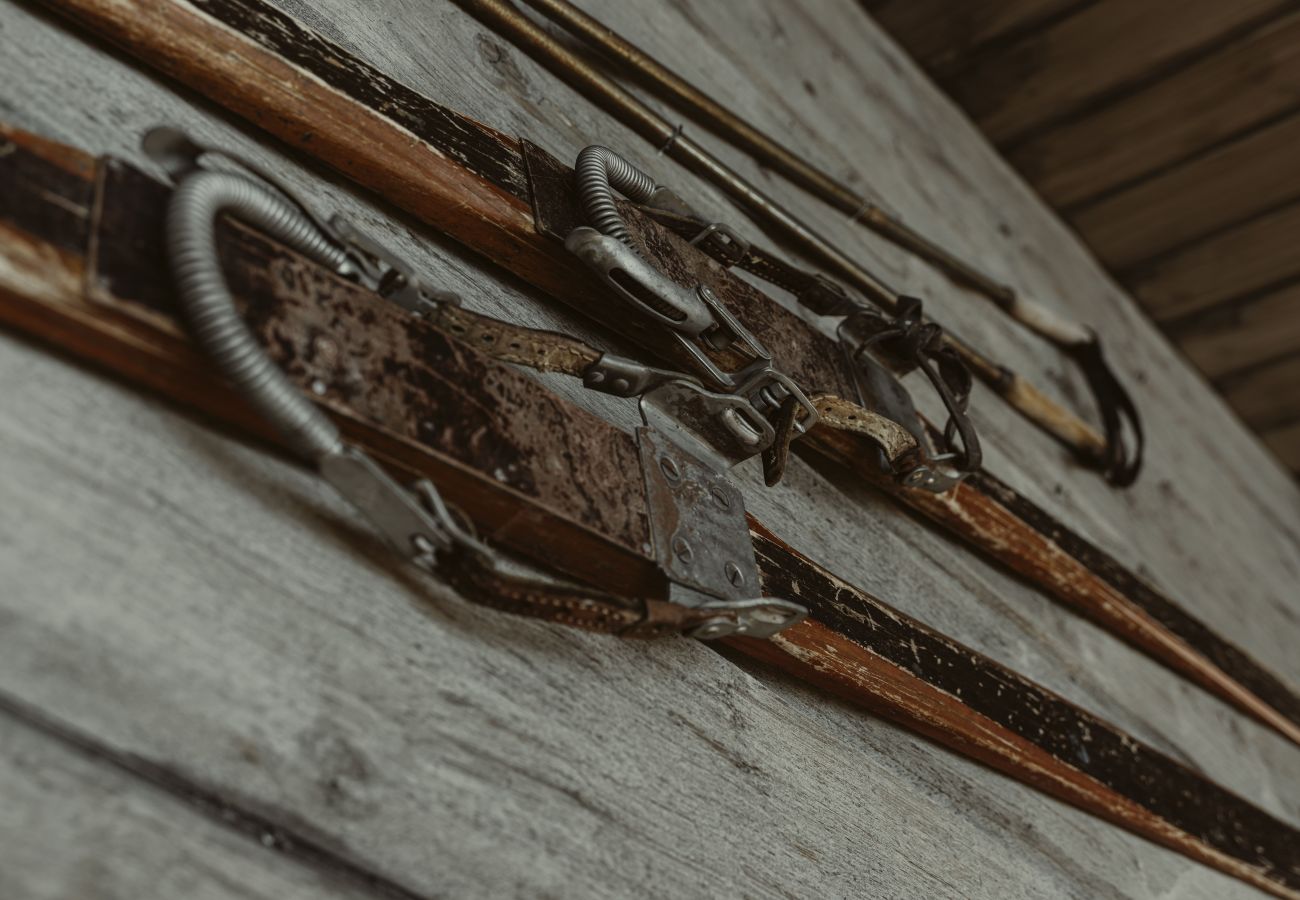 House in Undersåker - SE21005