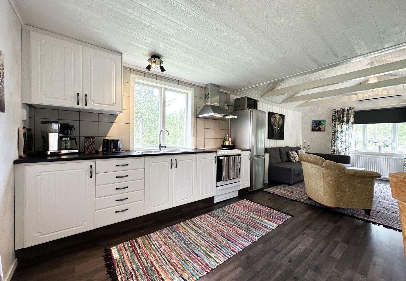 House in Timmersdala - SE08049