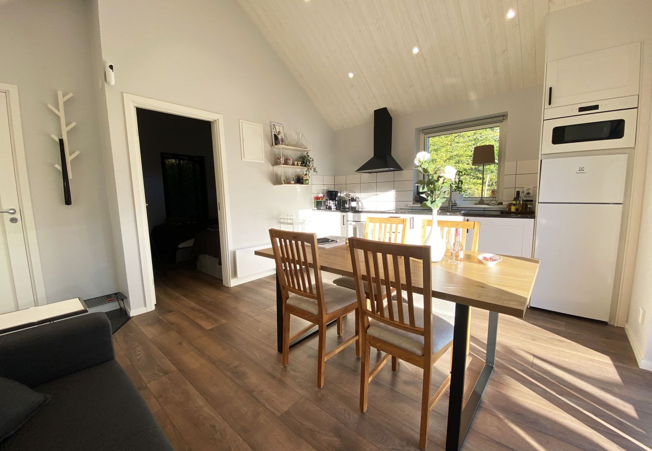 House in Svängsta - SE03012