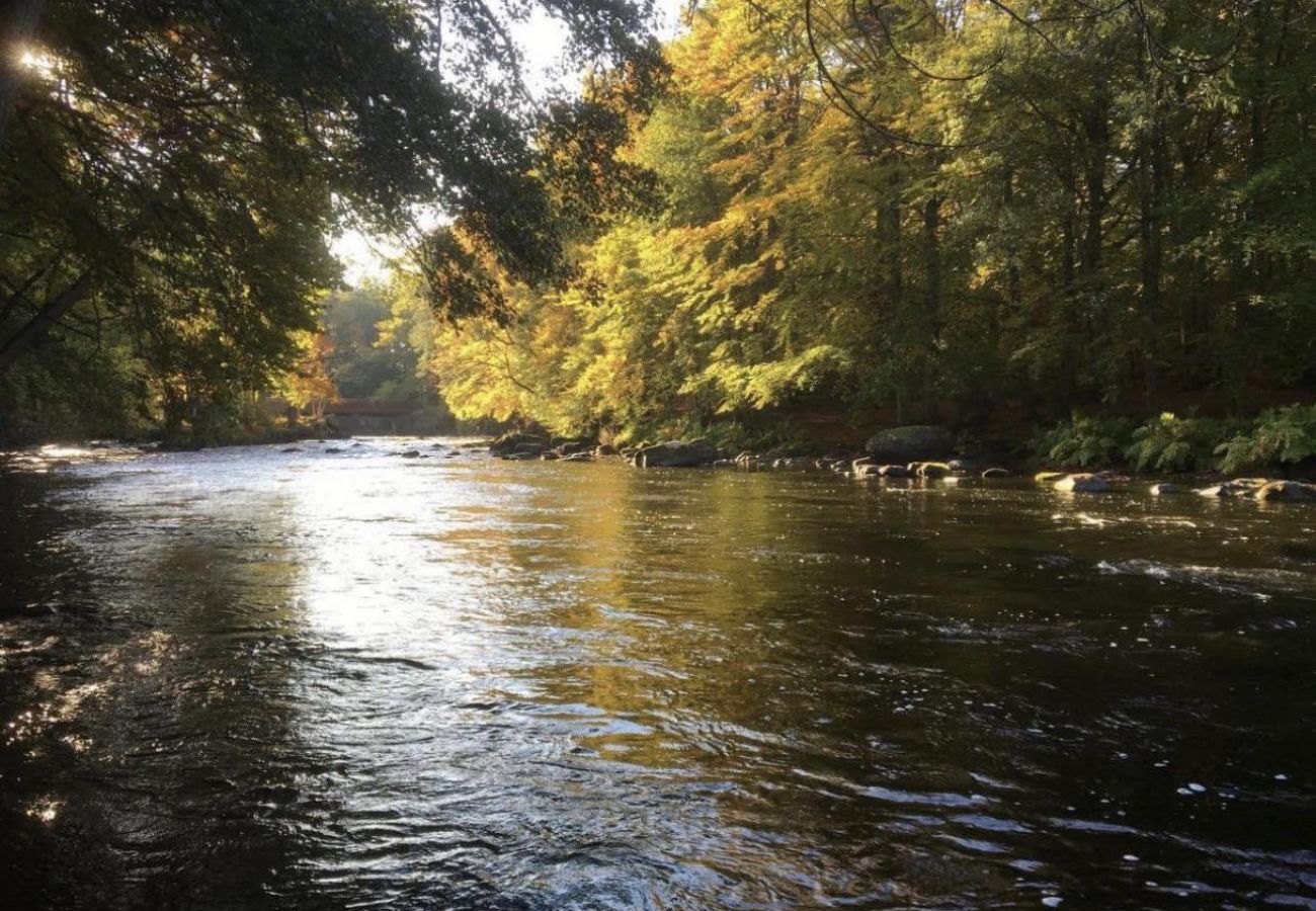 House in Svängsta - SE03012
