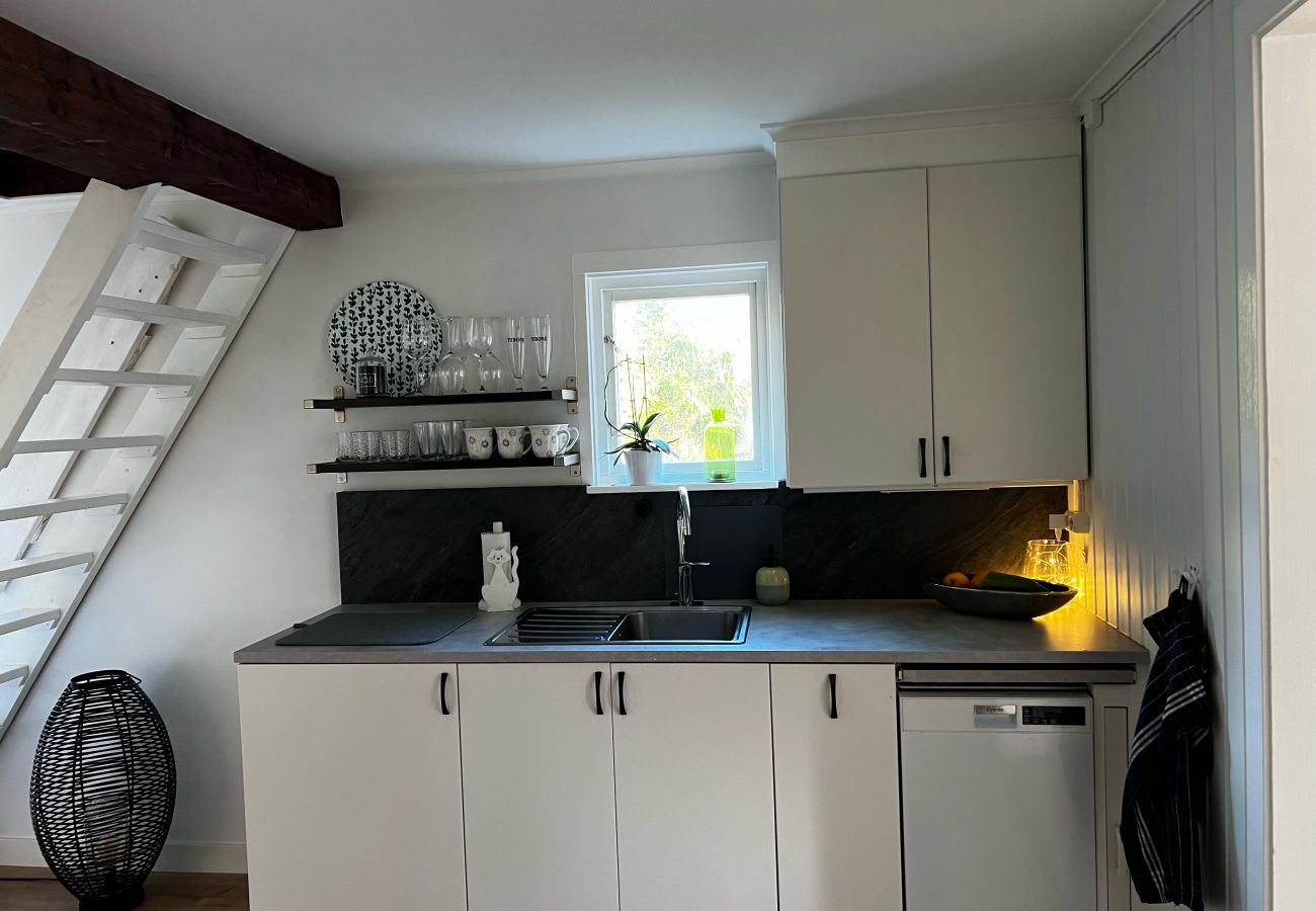 House in Vingåker - SE11019