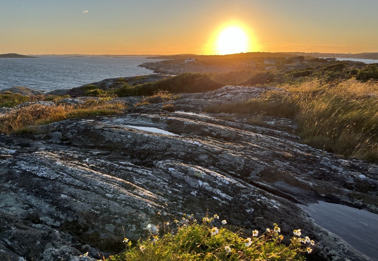 Apartment in Hönö - SE08073