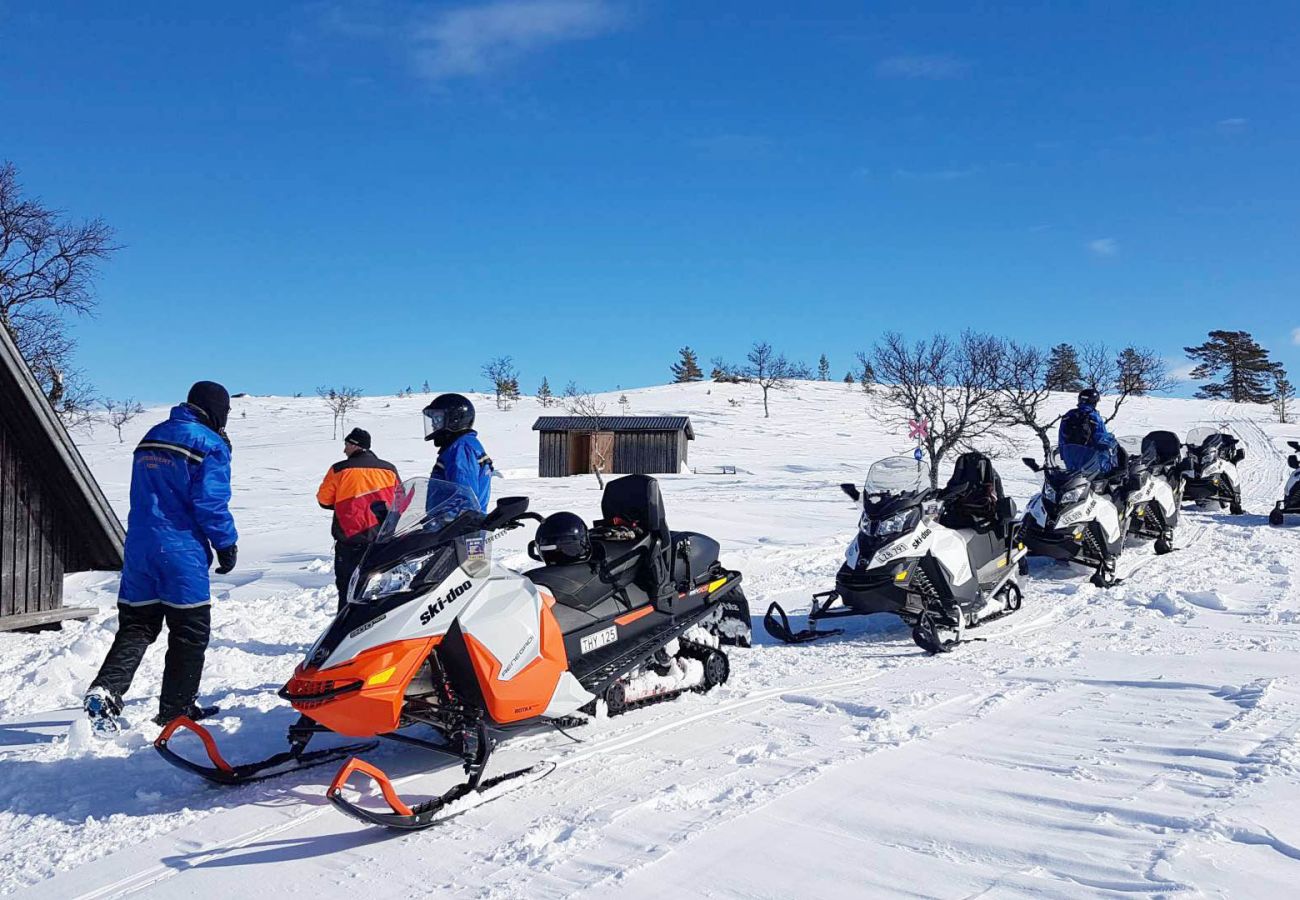 House in Idre - SE19021