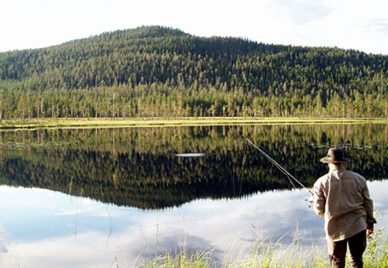 House in Idre - SE19021