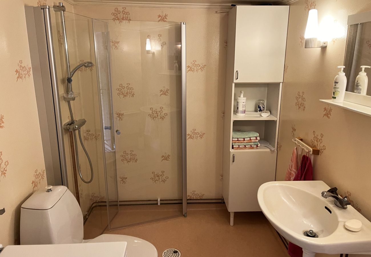 House in Järnforsen - SE05066