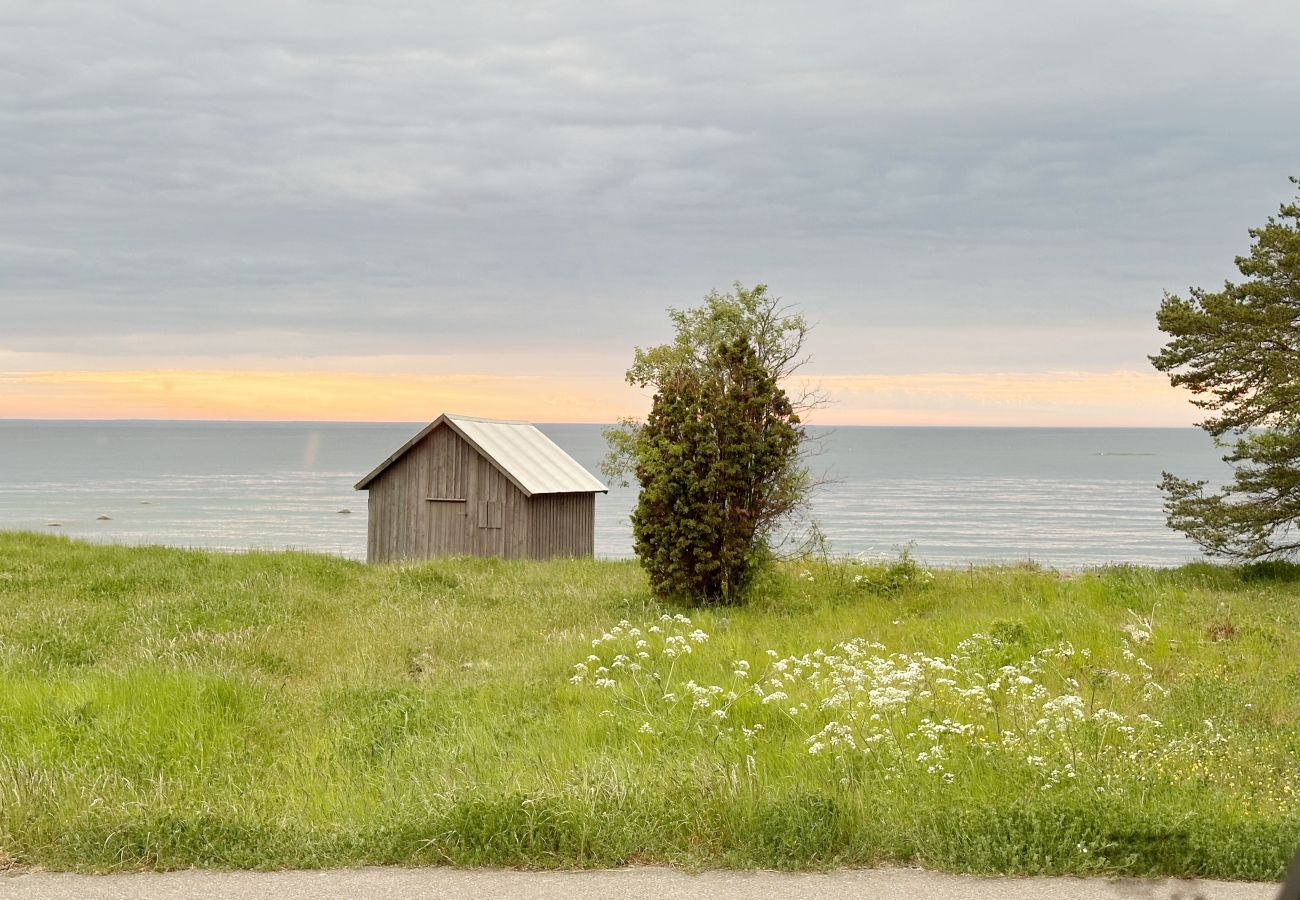 House in Byxelkrok - SE04051