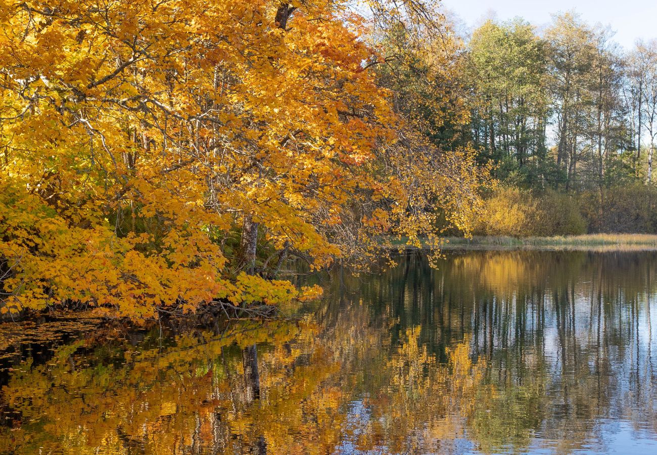 House in Marieholmsbruk - SE06078