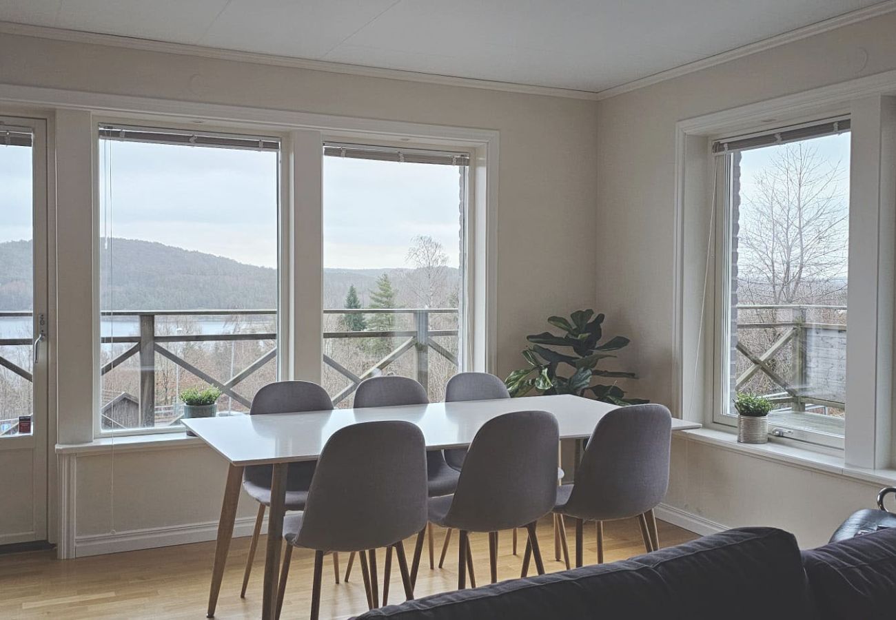 House in Svanesund - SE09101