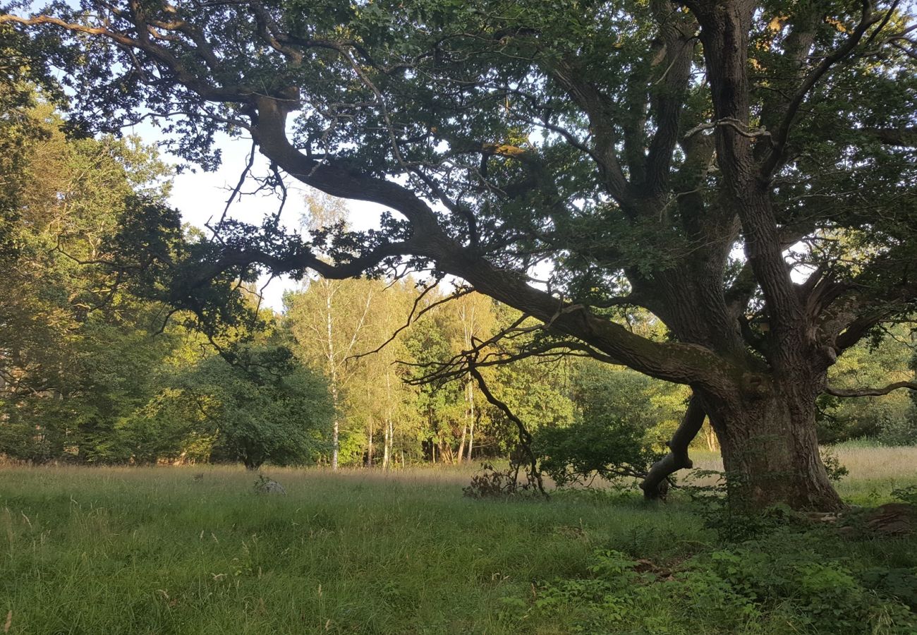 Cabin in Billesholm - SE01077