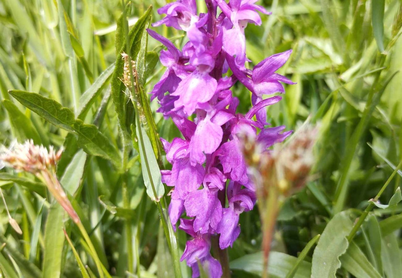 Cabin in Billesholm - SE01077