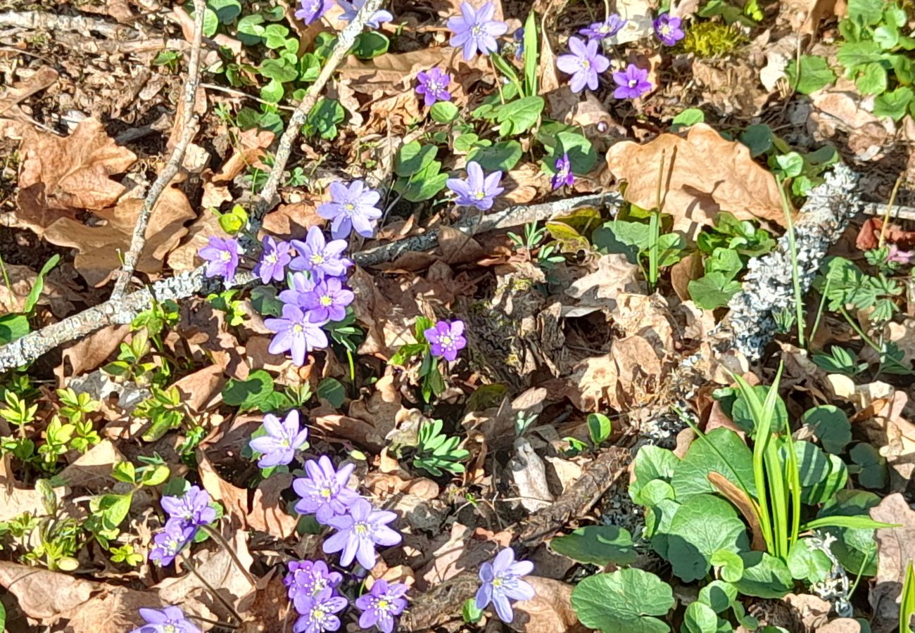 House in Mönsterås - SE05055
