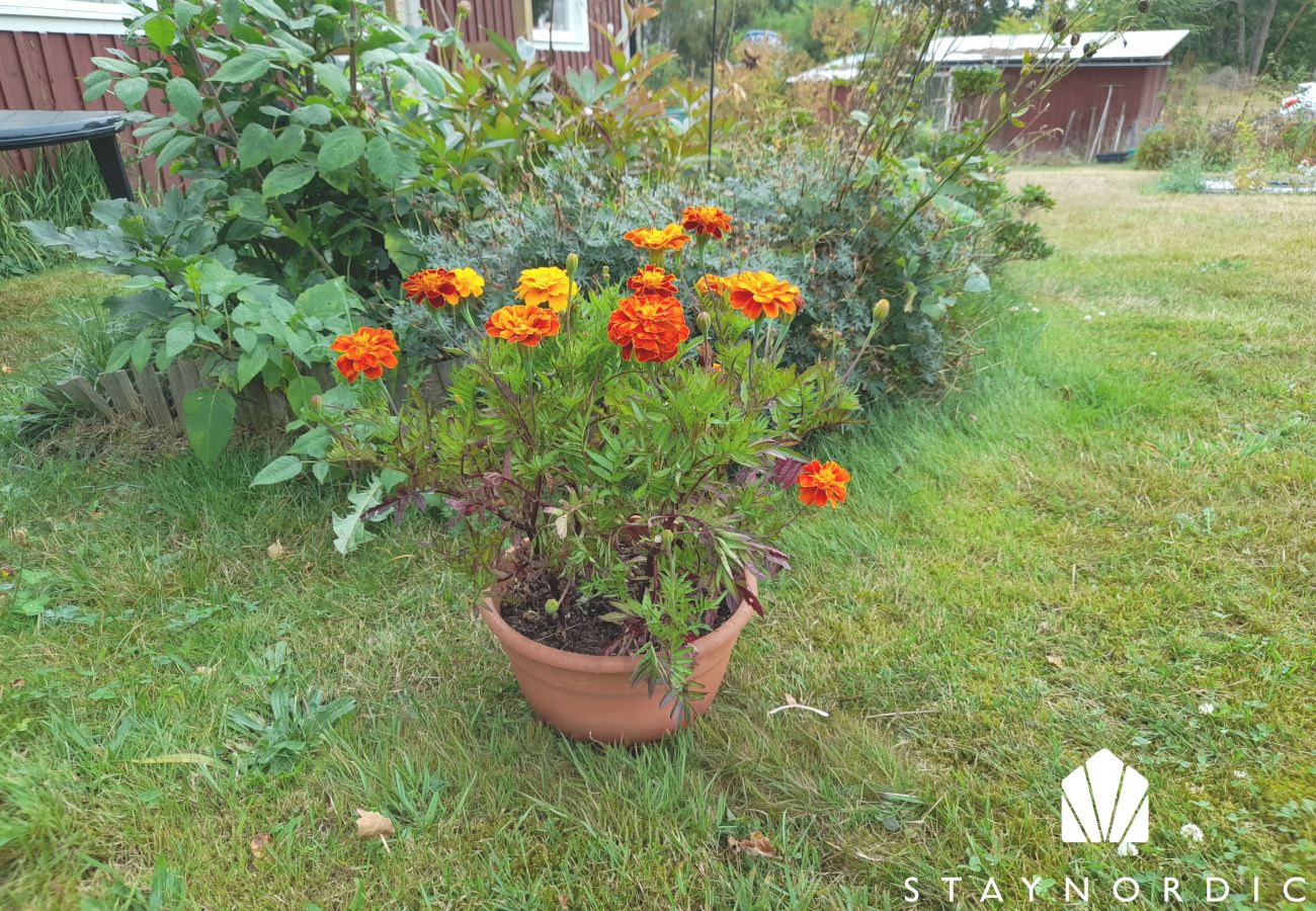 House in Mönsterås - SE05055