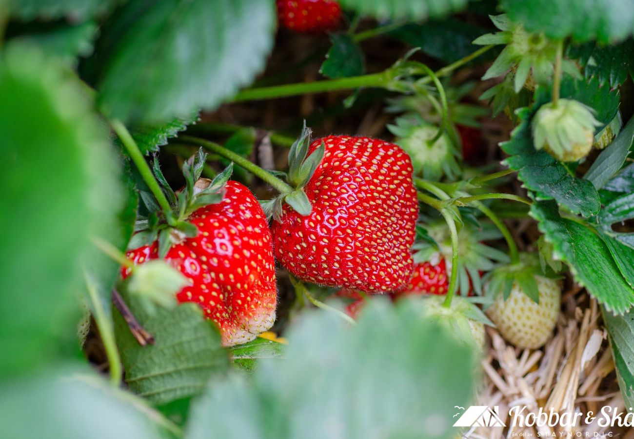 House in Henån - SE09122