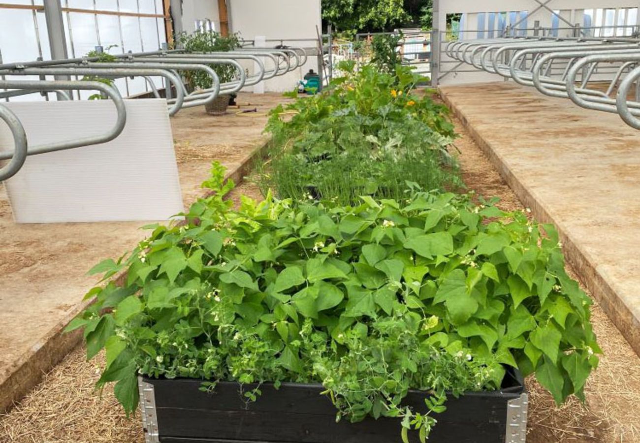 House in Henån - SE09122