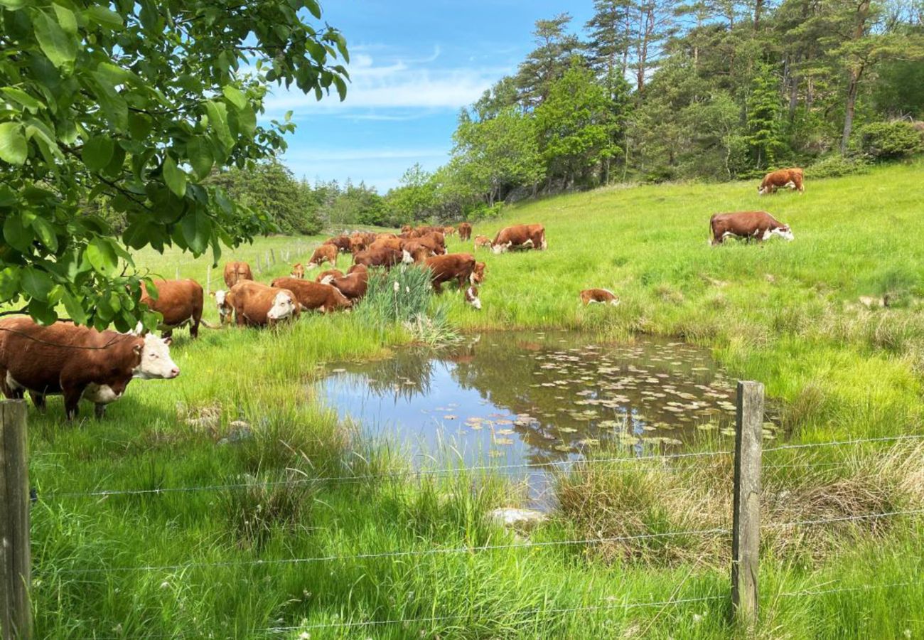 House in Henån - SE09122