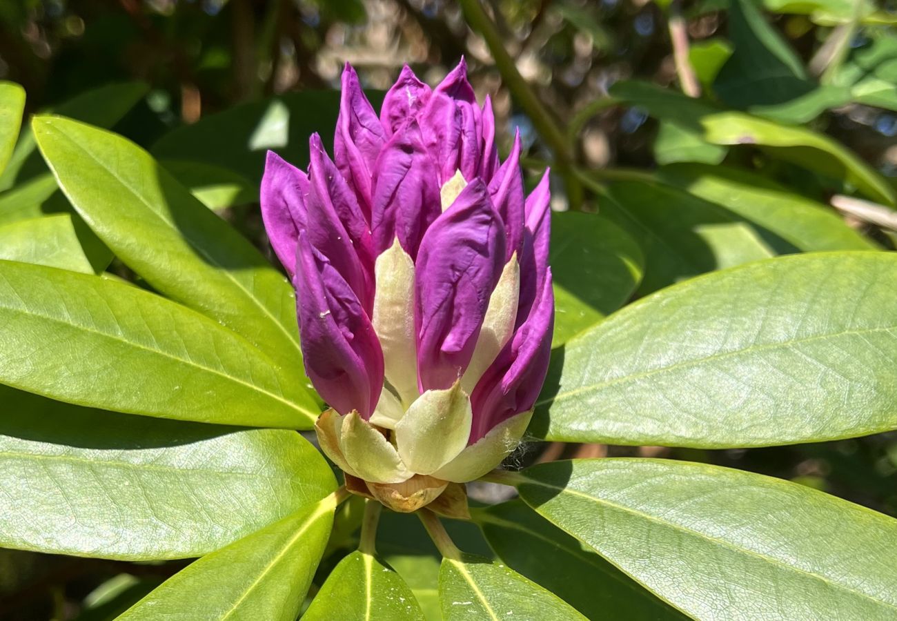 House in Hjälteby - SE09124