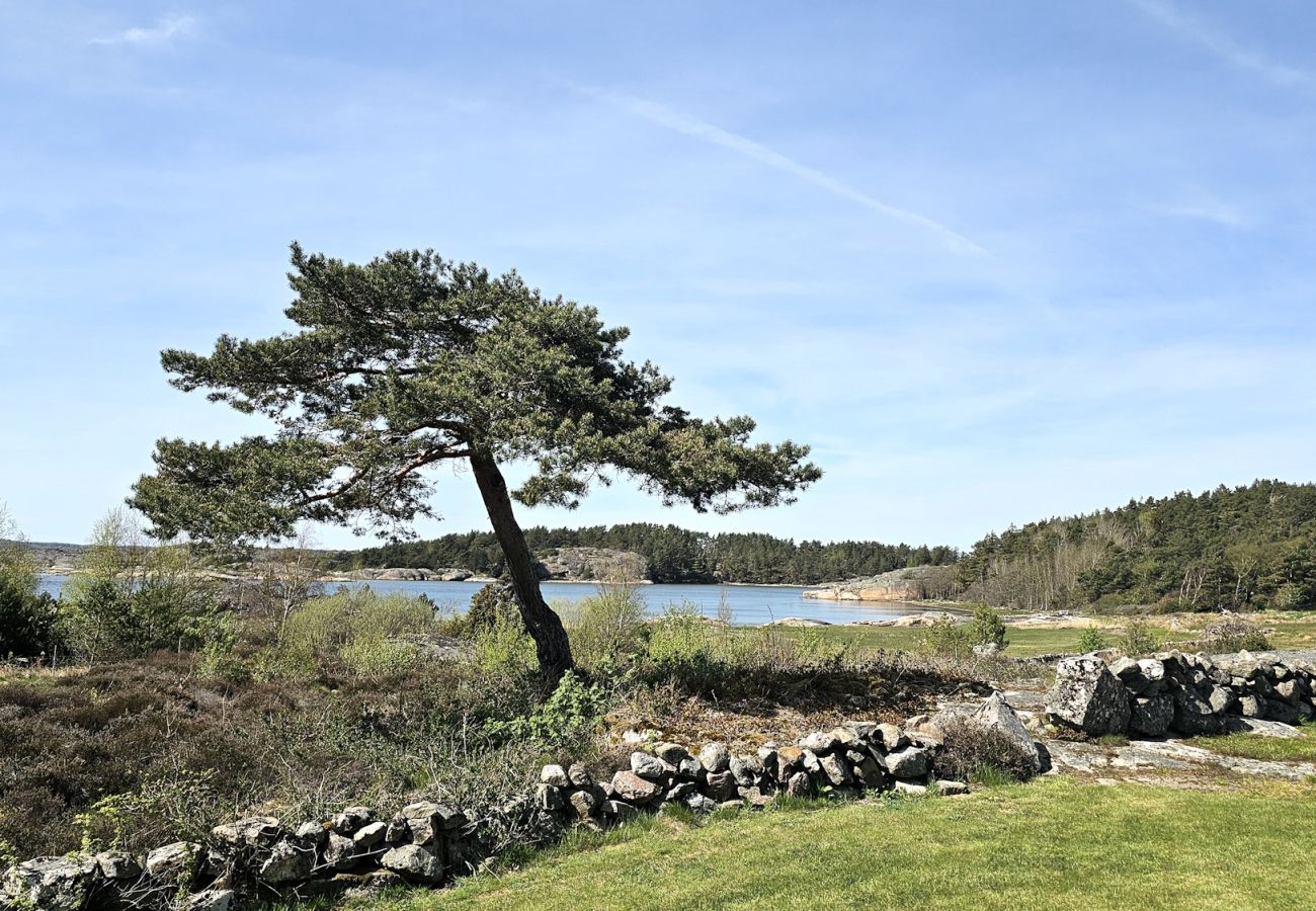 House in Varekil - SE09126