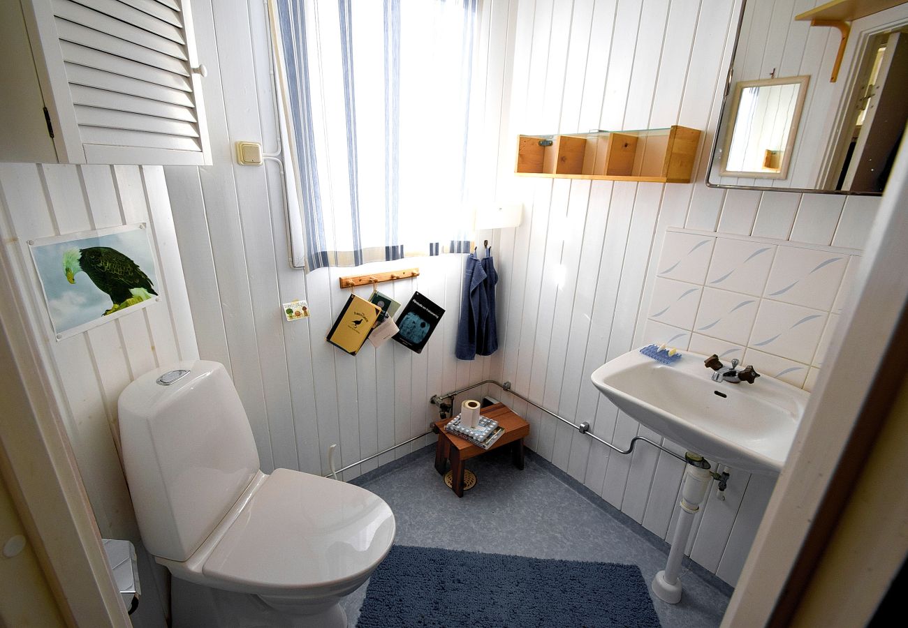 House in Hälleviksstrand - SE09133