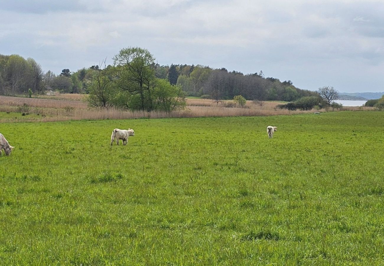 House in Varekil - SE09114