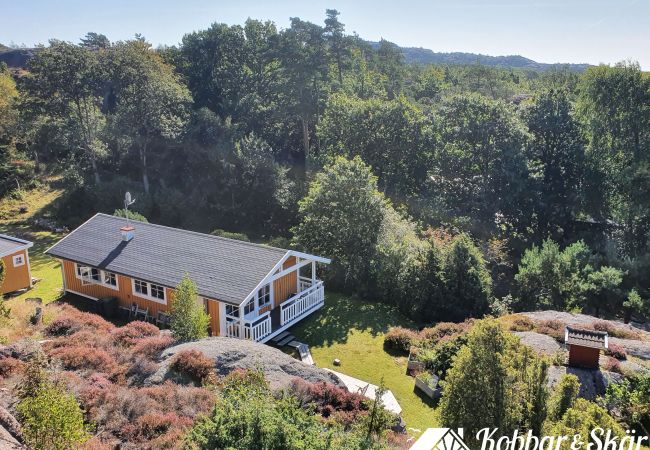 House in Hjälteby - SE09134