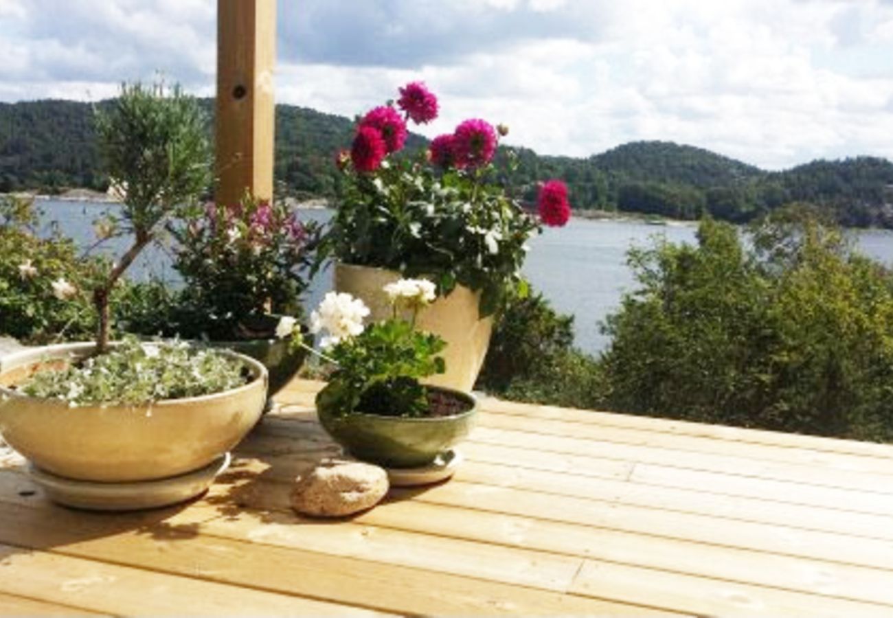 House in Svanesund - SE09137