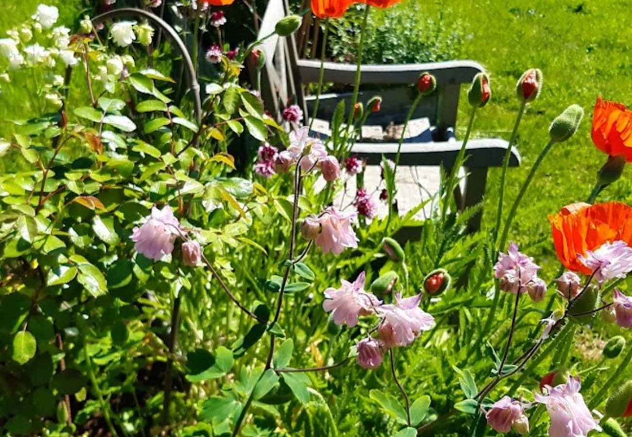 House in Svanesund - SE09137