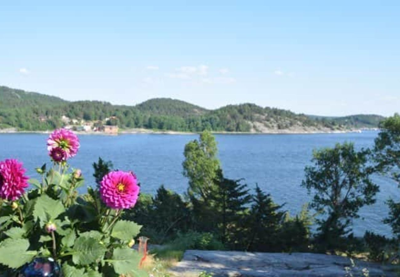 House in Svanesund - SE09137