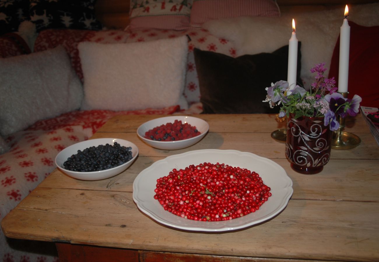 House in Skillingsfors - SE18031