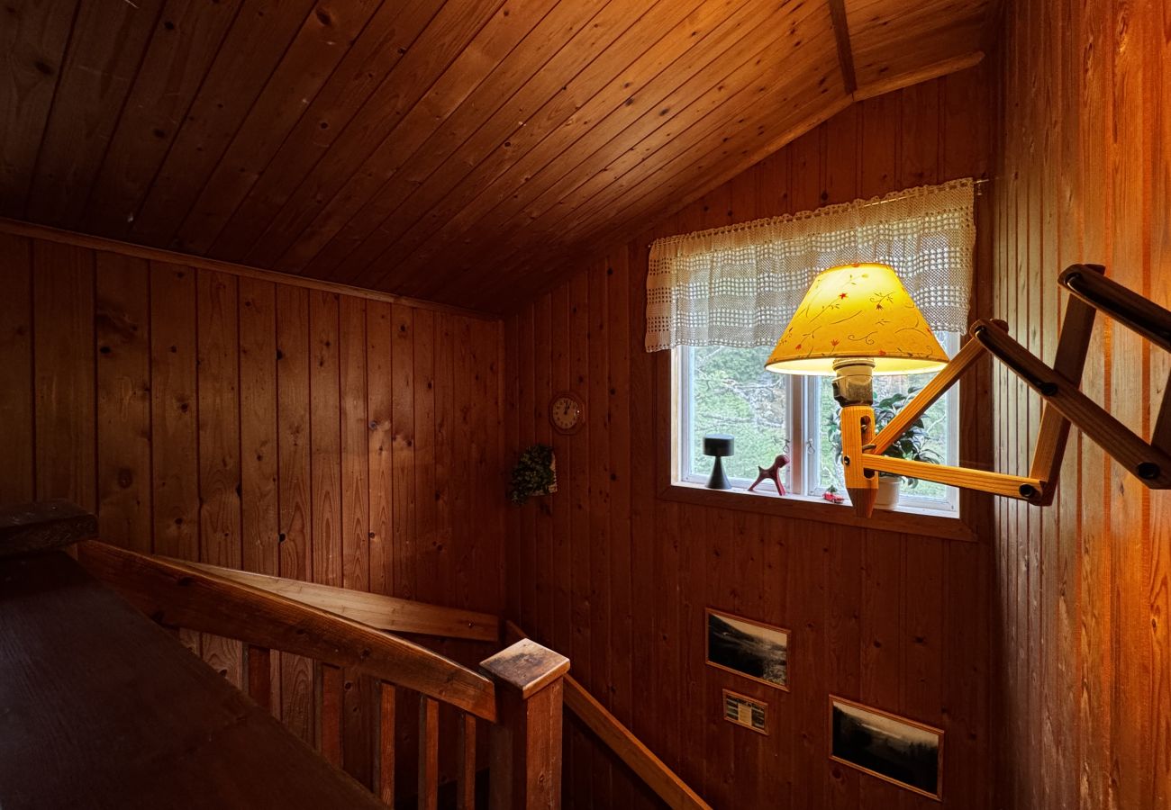 House in Skillingsfors - SE18031